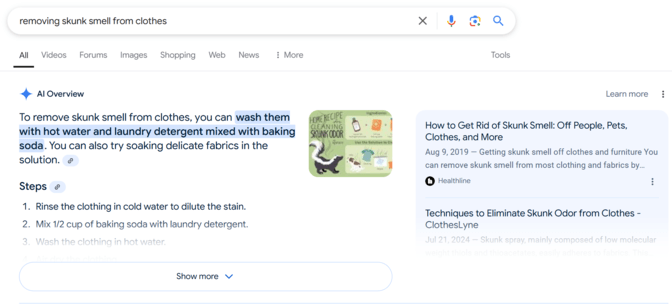 Google AI Overview for getting rid of skunk smell
